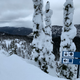 Illustration for article titled 2019-2020 Ski Season in Review